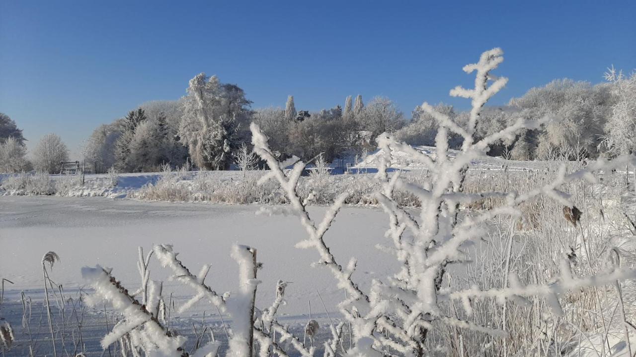 Orzechowy Dworek Nowy Dwór Gdański Exterior foto