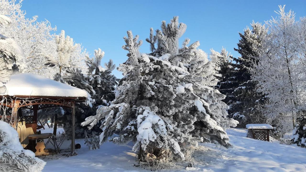 Orzechowy Dworek Nowy Dwór Gdański Exterior foto