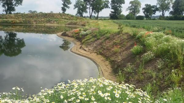 Orzechowy Dworek Nowy Dwór Gdański Exterior foto