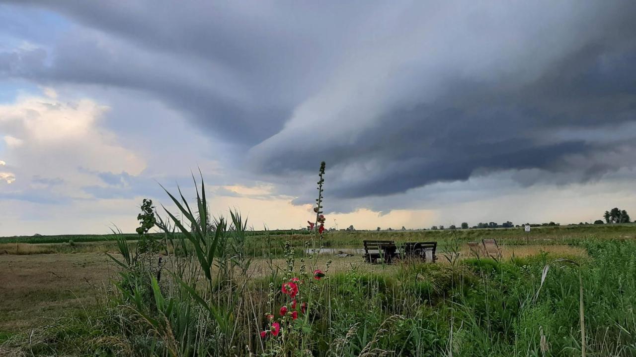 Orzechowy Dworek Nowy Dwór Gdański Exterior foto