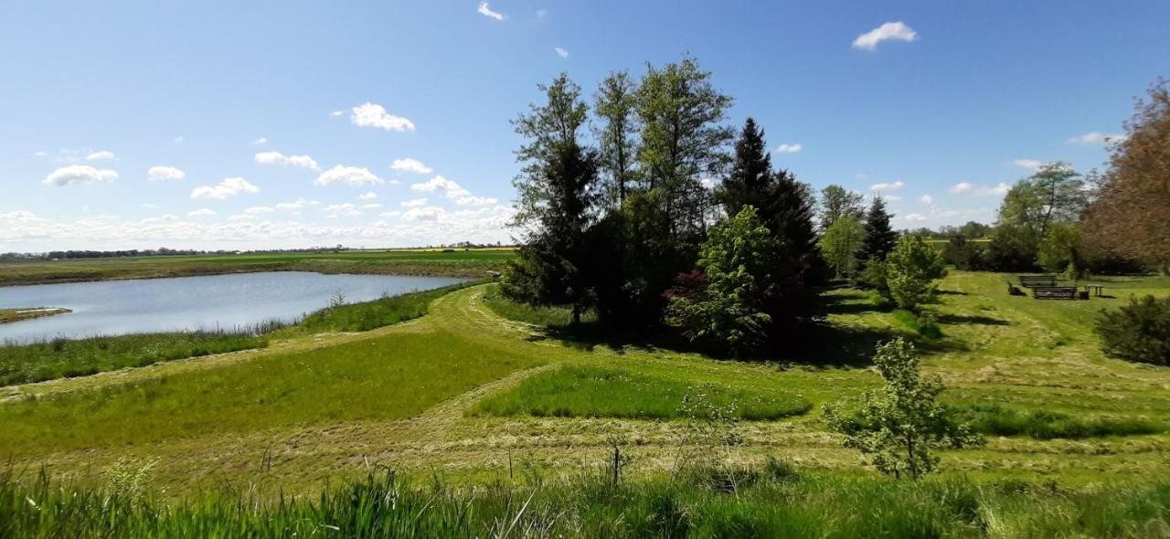 Orzechowy Dworek Nowy Dwór Gdański Exterior foto