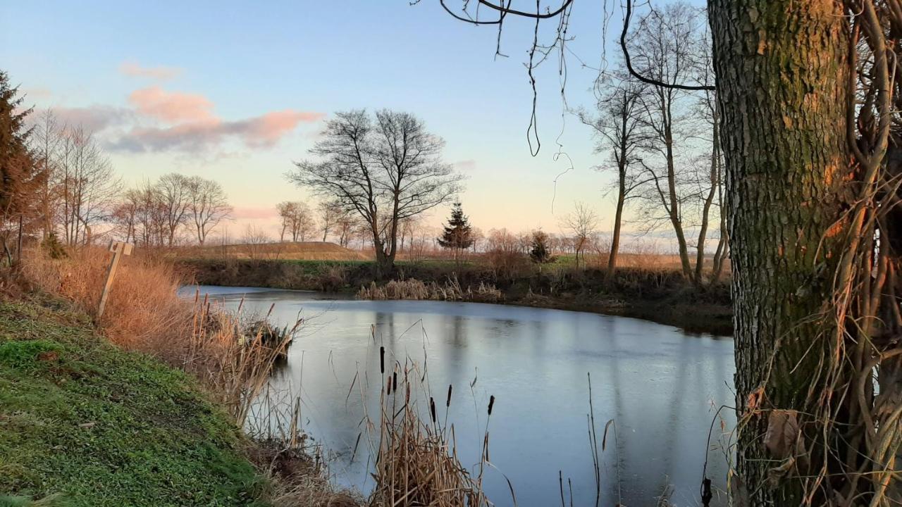 Orzechowy Dworek Nowy Dwór Gdański Exterior foto
